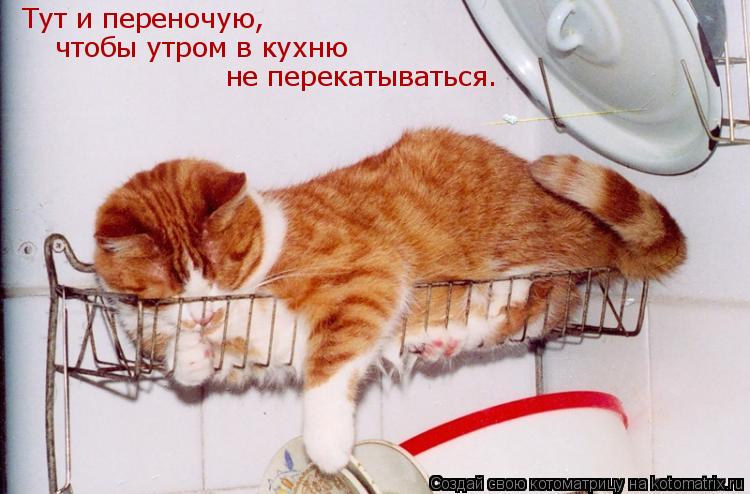 Тут и переночую, чтобы утром в кухню не перекатываться.... Котоматрица: Тут и переночую, чтобы утром в кухню не перекатываться.