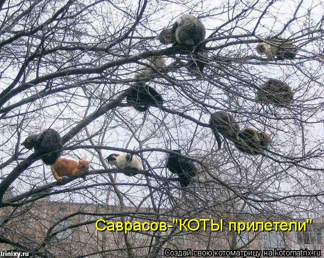 Саврасов-"КОТЫ прилетели"... Котоматрица: Саврасов-"КОТЫ прилетели"