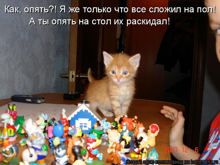 Котоматрица: Как, опять?! Я же только что все сложил на пол! А ты опять на стол их раскидал!