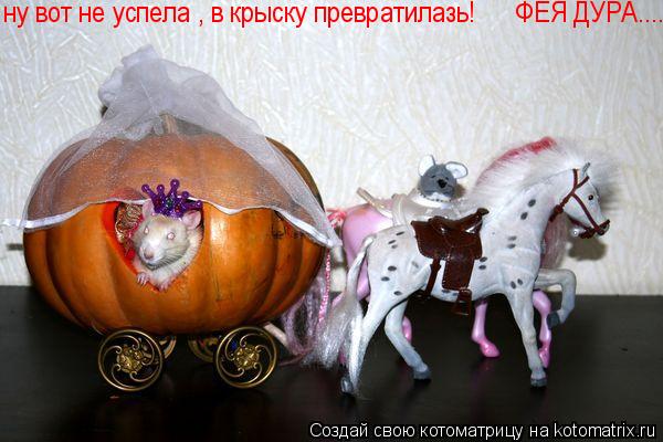 ну вот не успела , в крыску превратилазь! ФЕЯ ДУРА......... Котоматрица: ну вот не успела , в крыску превратилазь! ФЕЯ ДУРА......