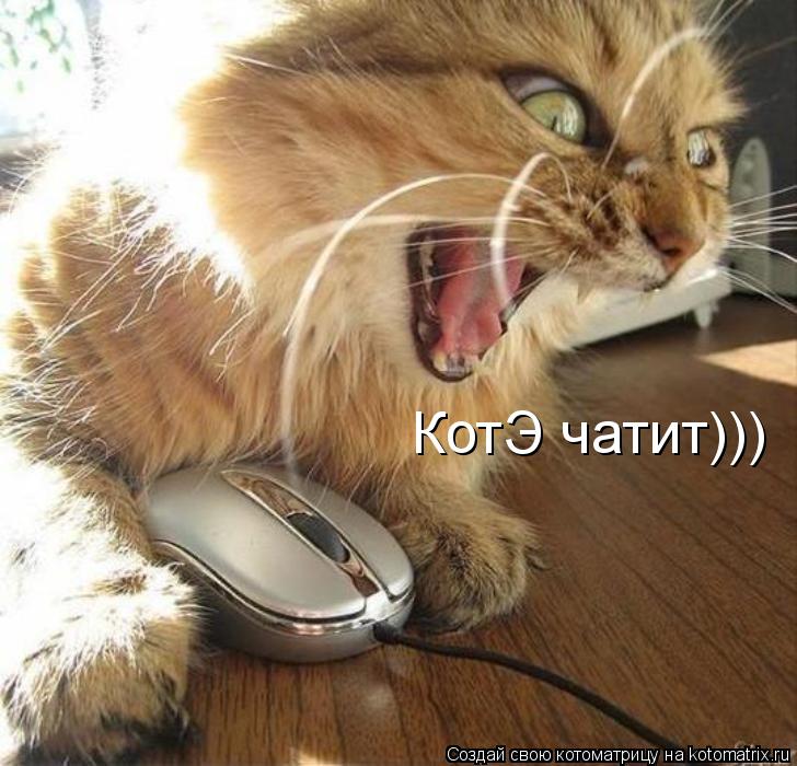 КотЭ чатит)))... Котоматрица: КотЭ чатит)))