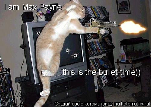 Котоматрица: I am Max Payne this is the bullet-time))