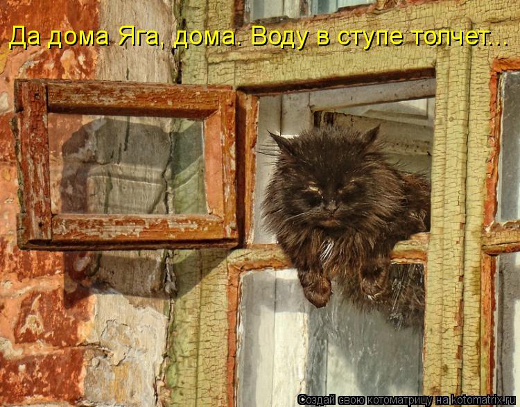 Да дома Яга, дома. Воду в ступе толчет...... Котоматрица: Да дома Яга, дома. Воду в ступе толчет...