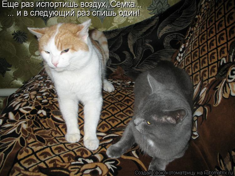 Еще раз испортишь воздух, Сёмка... ... и в следующий раз спишь один!... Котоматрица: Еще раз испортишь воздух, Сёмка... ... и в следующий раз спишь один!