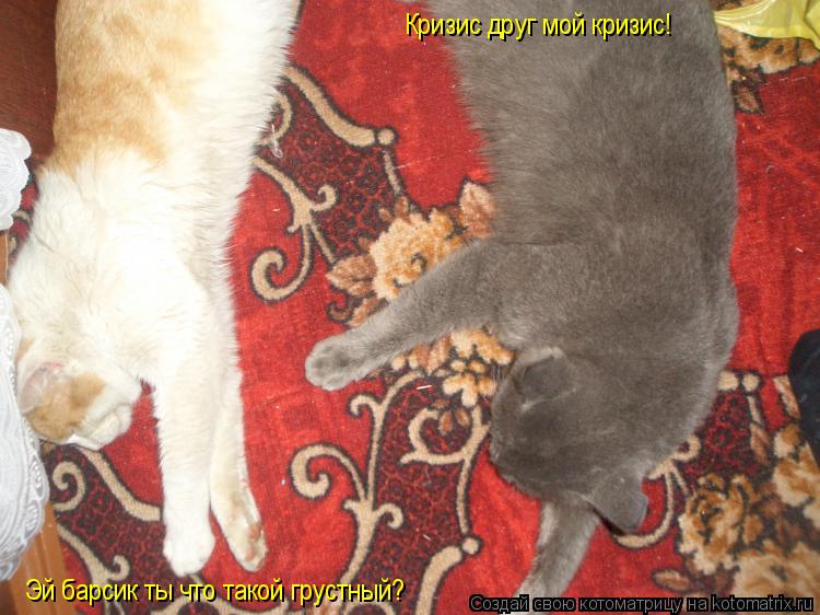 Эй барсик ты что такой грустный? Кризис друг мой кризис!... Котоматрица: Эй барсик ты что такой грустный? Кризис друг мой кризис!