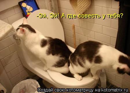 -Эй, Эй! А где совесть у тебя?... Котоматрица: -Эй, Эй! А где совесть у тебя?