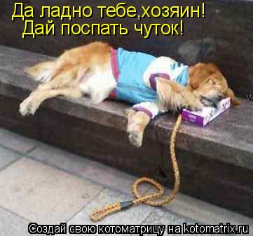 Да ладно тебе,хозяин! Дай поспать чуток!... Котоматрица: Да ладно тебе,хозяин! Дай поспать чуток!
