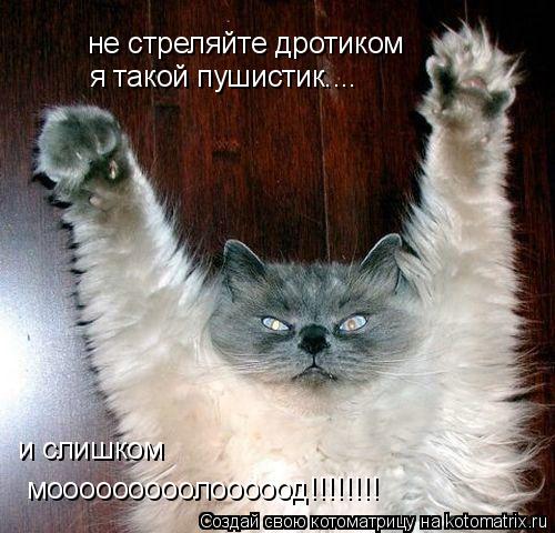 не стреляйте дротиком не стреляйте дротиком я такой пушистик.... и слишком мооооооооолооооод!!!!!!!!... Котоматрица: не стреляйте дротиком не стреляйте дротиком я такой пушистик.... и слишком мооооооооолооооод!!!!!!!!