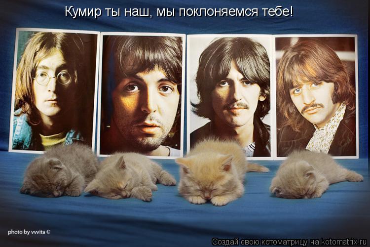 Кумир ты наш, мы поклоняемся тебе!... Котоматрица: Кумир ты наш, мы поклоняемся тебе!