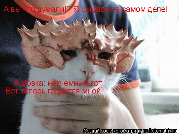 А вы что думали!? Я рыцарь на самом деле! А Вовка: некчемный кот! Вот теперь гордится мной!... Котоматрица: А вы что думали!? Я рыцарь на самом деле! А Вовка: некчемный кот! Вот теперь гордится мной!