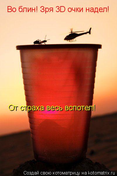 Во блин! Зря 3D очки надел! От страха весь вспотел!... Котоматрица: Во блин! Зря 3D очки надел! От страха весь вспотел!
