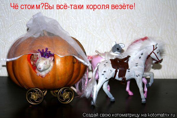 Но! Чё стоим?Вы всё-таки короля везёте!... Котоматрица: Но! Чё стоим?Вы всё-таки короля везёте!