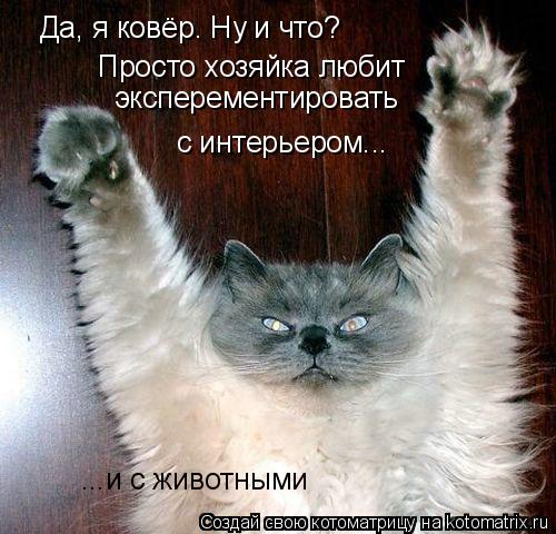 Да, я ковёр. Ну и что? Просто хозяйка любит эксперементировать с интерьером... ...и с животными... Котоматрица: Да, я ковёр. Ну и что? Просто хозяйка любит эксперементировать с интерьером... ...и с животными