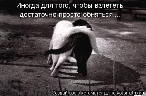 Иногда для того, чтобы взлететь, достаточно просто обняться....... Котоматрица: Иногда для того, чтобы взлететь, достаточно просто обняться....