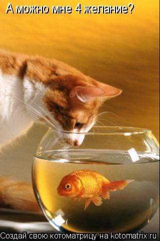 А можно мне 4 желание?... Котоматрица: А можно мне 4 желание?