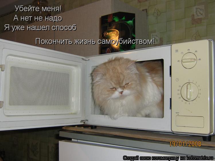 Убейте меня! А нет не надо Я уже нашел способ Покончить жизнь самоубийством!... Котоматрица: Убейте меня! А нет не надо Я уже нашел способ Покончить жизнь самоубийством!