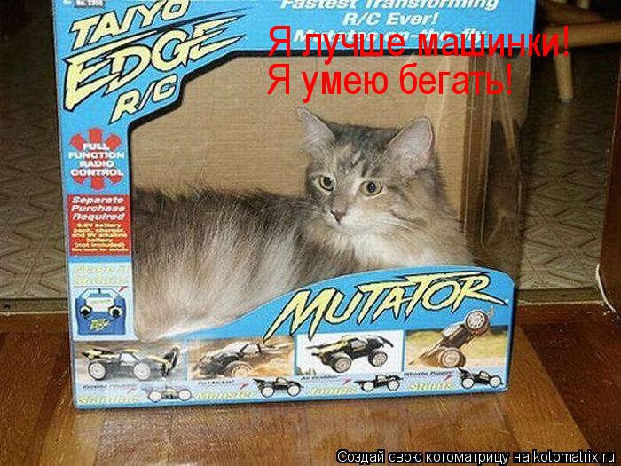Я лучше машинки! Я умею бегать!... Котоматрица: Я лучше машинки! Я умею бегать!