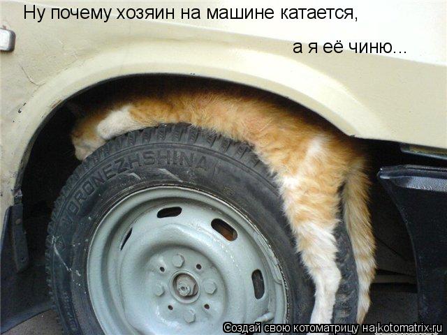 Ну почему хозяин на машине катается, а я её чиню...... Котоматрица: Ну почему хозяин на машине катается, а я её чиню...
