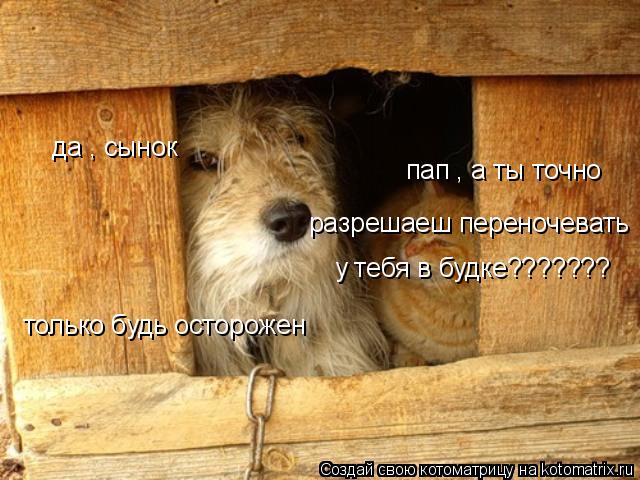 пап , а ты точно разрешаеш переночевать у тебя в будке??????? да , сынок только будь осторожен... Котоматрица: пап , а ты точно разрешаеш переночевать у тебя в будке??????? да , сынок только будь осторожен