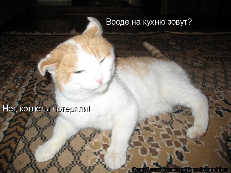 Вроде на кухню зовут? Нет, котлеты потеряли!... Котоматрица: Вроде на кухню зовут? Нет, котлеты потеряли!