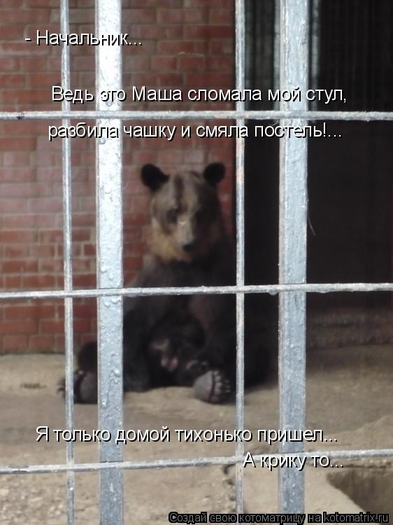 - Начальник... Ведь это Маша сломала мой стул, Я только домой тихонько пришел... разбила чашку и смял... Котоматрица: - Начальник... Ведь это Маша сломала мой стул, Я только домой тихонько пришел... разбила чашку и смяла постель!... А крику то...