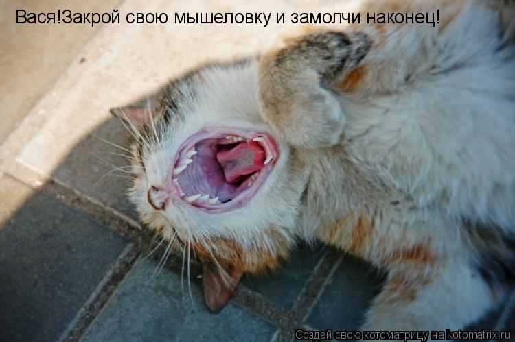 Вася!Закрой свою мышеловку и замолчи наконец!... Котоматрица: Вася!Закрой свою мышеловку и замолчи наконец!