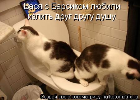 Котоматрица: Вася с Барсиком любили излить друг другу душу.