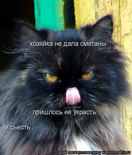 хозяйка не дала сметаны пришлось её украсть... и сьесть...... Котоматрица: хозяйка не дала сметаны пришлось её украсть... и сьесть...