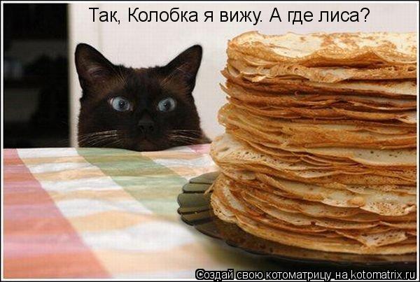 Так, Колобка я вижу. А где лиса?... Котоматрица: Так, Колобка я вижу. А где лиса?