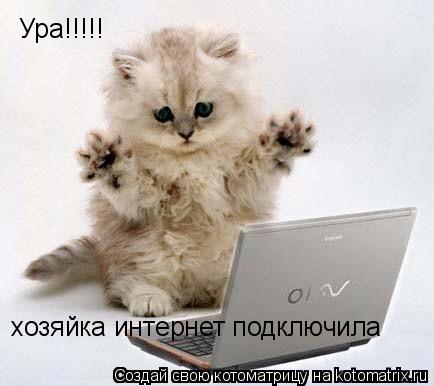 Ура!!!!! хозяйка интернет подключила... Котоматрица: Ура!!!!! хозяйка интернет подключила