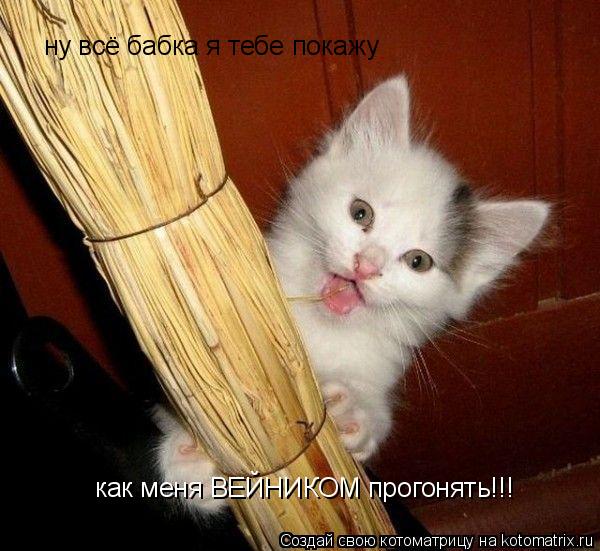 ну всё бабка я тебе покажу как меня ВЕЙНИКОМ прогонять!!!... Котоматрица: ну всё бабка я тебе покажу как меня ВЕЙНИКОМ прогонять!!!