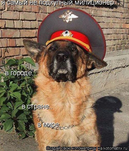 я самый не подкупный милиционер в городе... в стране.. в мире..... Котоматрица: я самый не подкупный милиционер в городе... в стране.. в мире..
