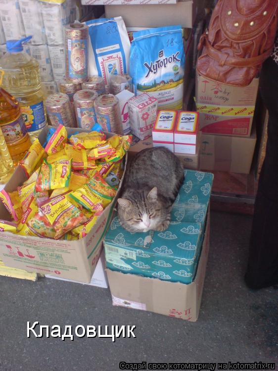 Кладовщик... Котоматрица: Кладовщик
