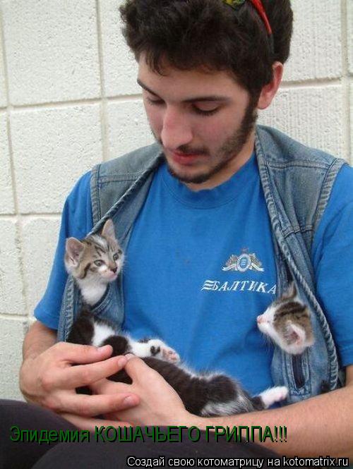 Эпидемия КОШАЧЬЕГО ГРИППА!!!... Котоматрица: Эпидемия КОШАЧЬЕГО ГРИППА!!!