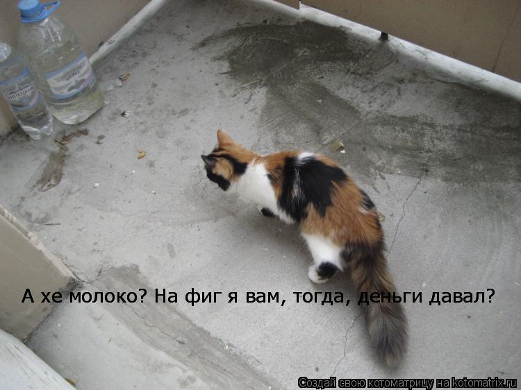 А хе молоко? На фиг я вам, тогда, деньги давал? А хе молоко? На фиг я вам, тогда, деньги давал?... Котоматрица: А хе молоко? На фиг я вам, тогда, деньги давал? А хе молоко? На фиг я вам, тогда, деньги давал?