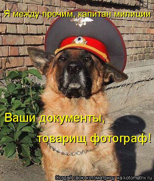 Я между прочим, капитан милиции Ваши документы, товарищ фотограф!... Котоматрица: Я между прочим, капитан милиции Ваши документы, товарищ фотограф!