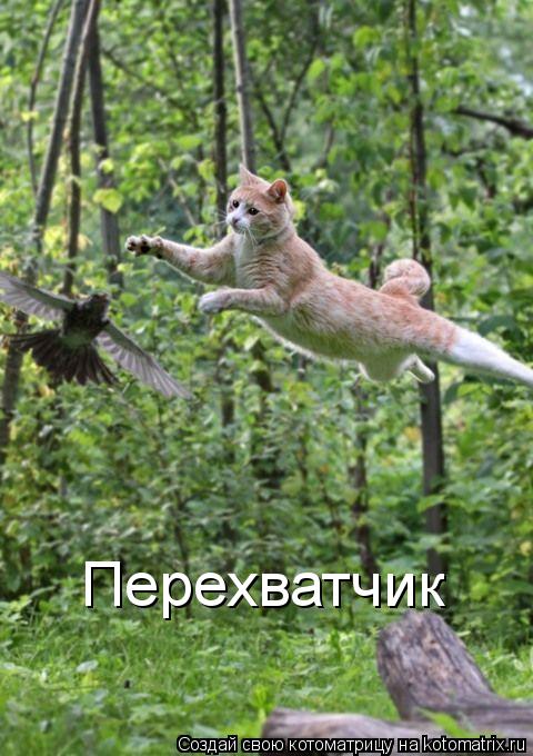 Перехватчик... Котоматрица: Перехватчик