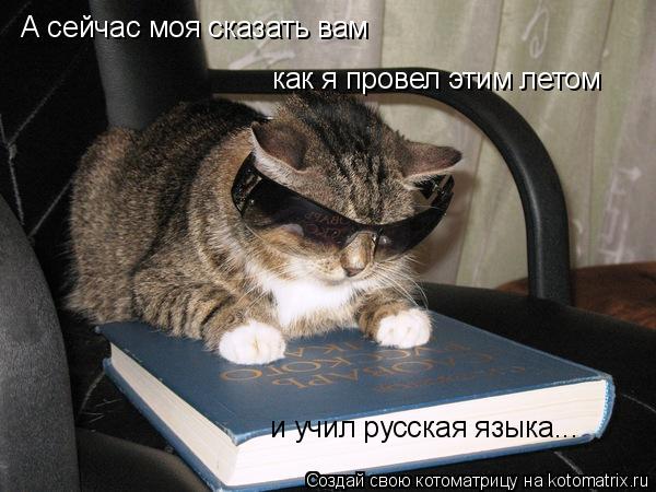 А сейчас моя сказать вам как я провел этим летом и учил русская языка...... Котоматрица: А сейчас моя сказать вам как я провел этим летом и учил русская языка...