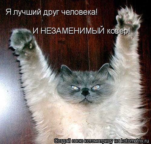 Я лучший друг человека! И НЕЗАМЕНИМЫЙ ковёр!... Котоматрица: Я лучший друг человека! И НЕЗАМЕНИМЫЙ ковёр!