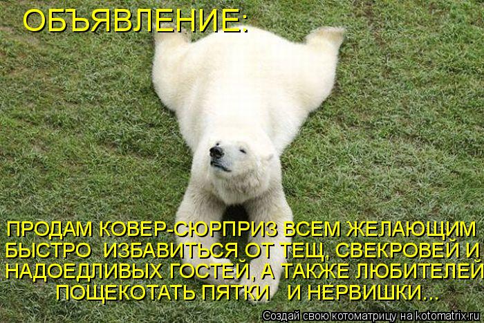 ОБЪЯВЛЕНИЕ: ПОЩЕКОТАТЬ ПЯТКИ И НЕРВИШКИ... ПРОДАМ КОВЕР-СЮРПРИЗ ВСЕМ ЖЕЛАЮЩИМ НАДОЕДЛИВЫХ ГОСТЕЙ, ... Котоматрица: ОБЪЯВЛЕНИЕ: ПОЩЕКОТАТЬ ПЯТКИ И НЕРВИШКИ... ПРОДАМ КОВЕР-СЮРПРИЗ ВСЕМ ЖЕЛАЮЩИМ НАДОЕДЛИВЫХ ГОСТЕЙ, А ТАКЖЕ ЛЮБИТЕЛЕЙ БЫСТРО ИЗБАВИТЬСЯ ОТ