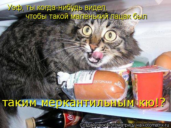 Уэф, ты когда-нибудь видел, чтобы такой маленький пацак был таким меркантильным кю!?... Котоматрица: Уэф, ты когда-нибудь видел, чтобы такой маленький пацак был таким меркантильным кю!?