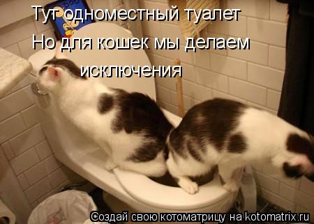 Тут одноместный туалет Но для кошек мы делаем исключения... Котоматрица: Тут одноместный туалет Но для кошек мы делаем исключения