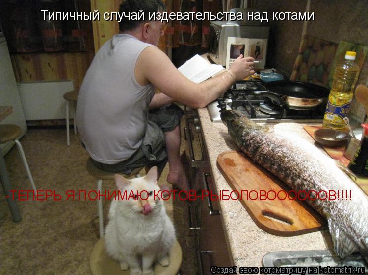 Типичный случай издевательства над котами -ТЕПЕРЬ Я ПОНИМАЮ КОТОВ-РЫБОЛОВООООООВ!!!!... Котоматрица: Типичный случай издевательства над котами -ТЕПЕРЬ Я ПОНИМАЮ КОТОВ-РЫБОЛОВООООООВ!!!!