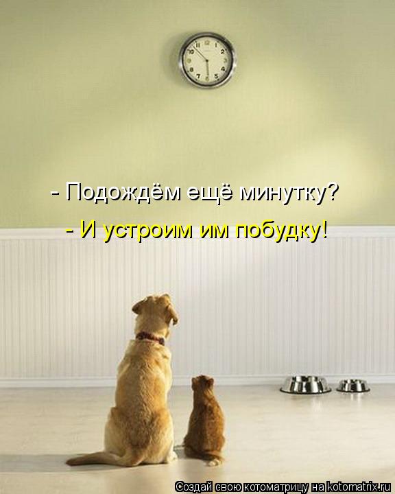 - Подождём ещё минутку? - И устроим им побудку!... Котоматрица: - Подождём ещё минутку? - И устроим им побудку!