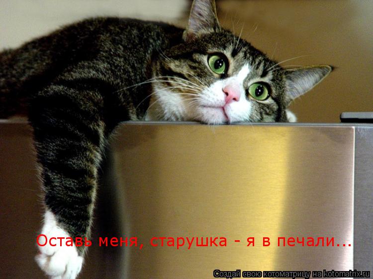 Оставь меня, старушка - я в печали...... Котоматрица: Оставь меня, старушка - я в печали...