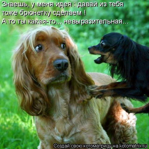 Знаешь, у меня идея : давай из тебя тоже брюнетку сделаем ! А то ты какая-то... невыразительная...... Котоматрица: Знаешь, у меня идея : давай из тебя тоже брюнетку сделаем ! А то ты какая-то... невыразительная...