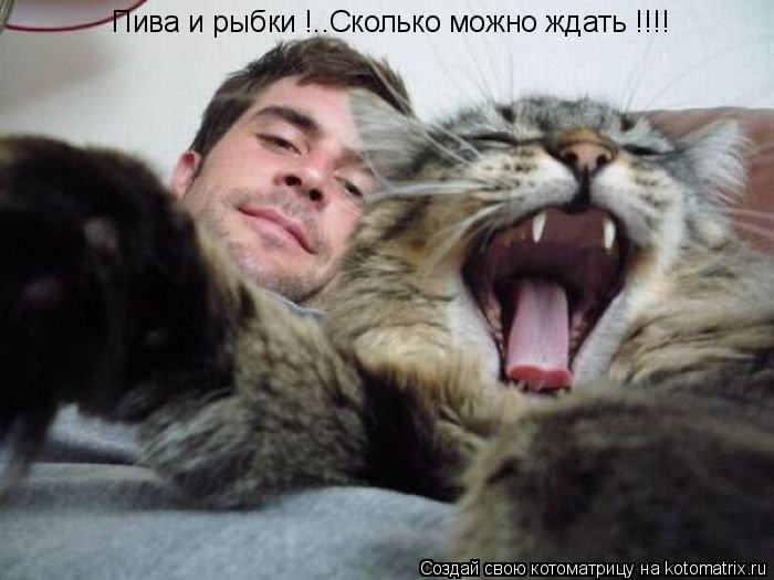 Пива и рыбки !..Сколько можно ждать !!!!... Котоматрица: Пива и рыбки !..Сколько можно ждать !!!!