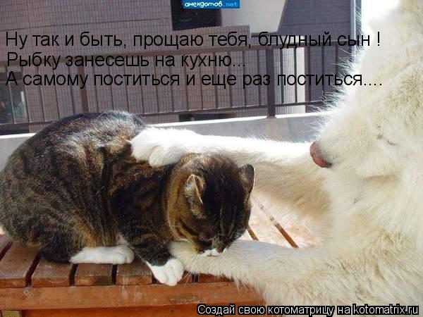 Ну так и быть, прощаю тебя, блудный сын ! Рыбку занесешь на кухню... А самому поститься и еще раз пос... Котоматрица: Ну так и быть, прощаю тебя, блудный сын ! Рыбку занесешь на кухню... А самому поститься и еще раз поститься....