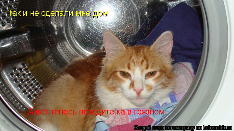 Так и не сделали мне дом А вот теперь походите ка в грязном... Котоматрица: Так и не сделали мне дом А вот теперь походите ка в грязном