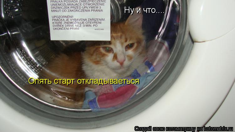 Ну и что.... Опять старт откладываеться... Котоматрица: Ну и что.... Опять старт откладываеться